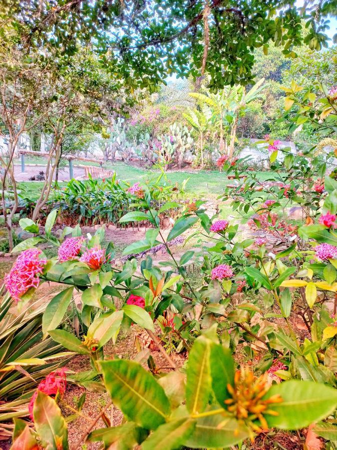Recanto Villa Sao Joao Palmeiras  Ngoại thất bức ảnh